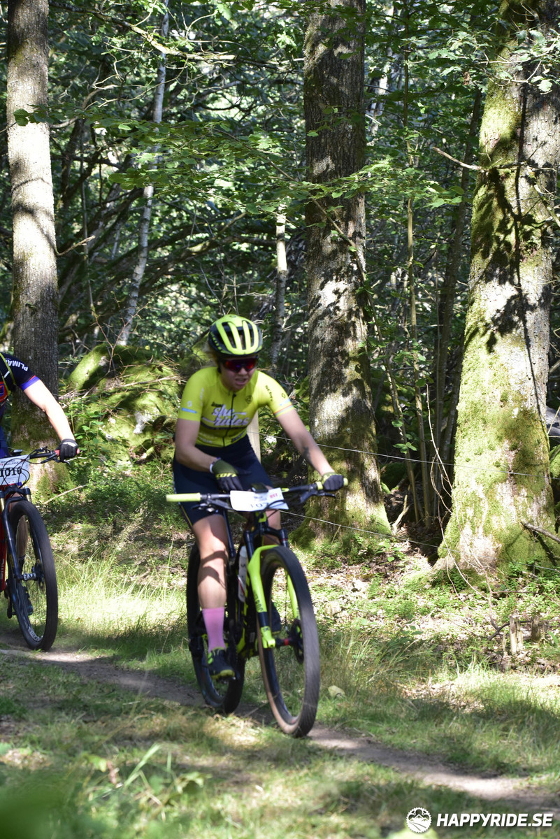 Bild från Bockstensturen 2019